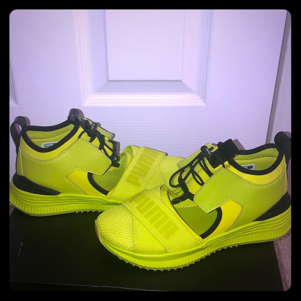 Fenty Avid Wins